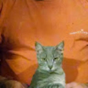 Meet your Posher, Eric